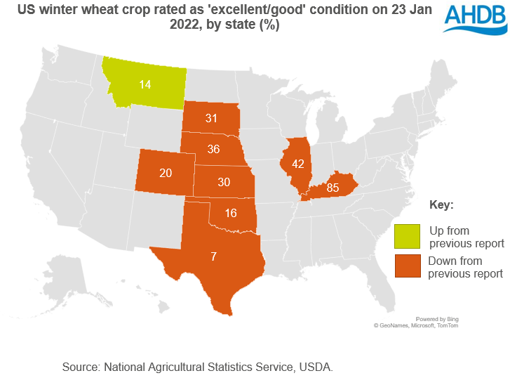 Map of US winter wheat crop conditions by state